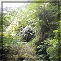 8-25 am 10-26-08-麻荖漏步道.JPG